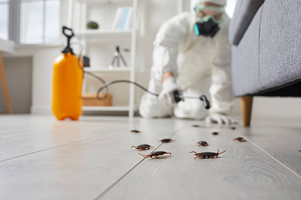 Trusted Cockroach Control service in Bar Nunn, WY - Nex Pest Control