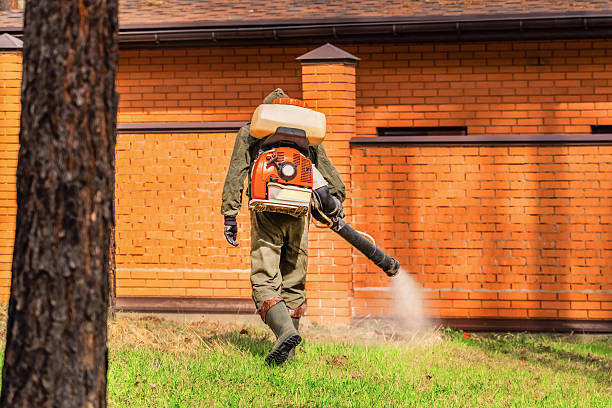 Trusted Termite Control service in Bar Nunn, WY - Nex Pest Control